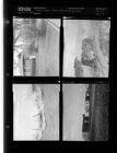 Bushes in bloom; Moose Club; Building on fire (4 Negatives (March 2, 1955) [Sleeve 2, Folder d, Box 6]